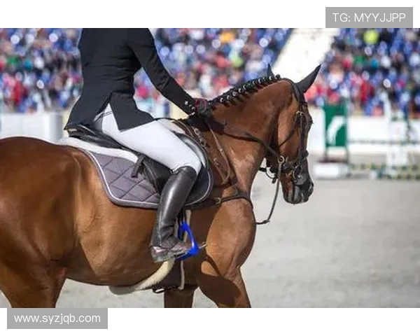 仁川亚运会跳马(仁川亚运会马术)世界杯体育论坛 仁川亚运会跳马(仁川亚运会马术)世界杯体育论坛