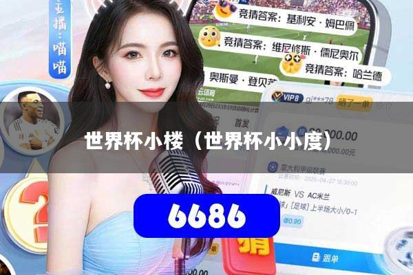 世界杯小楼（世界杯小小度）