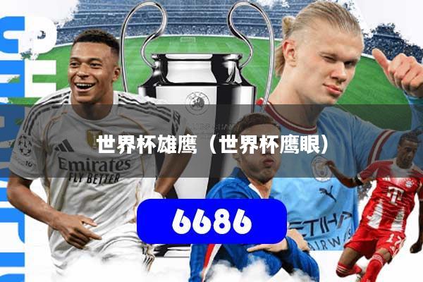 详细阅读:世界杯雄鹰(世界杯鹰眼) 世界杯雄鹰(世界杯鹰眼)